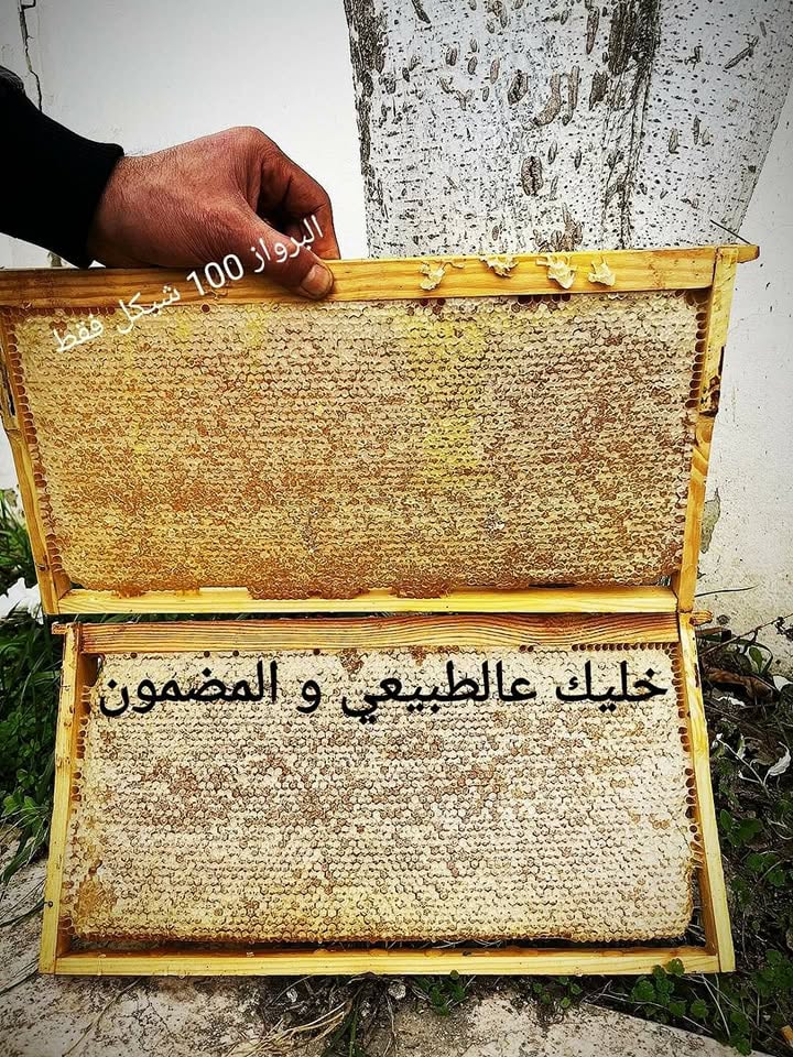 برواز شهد عسل كامل